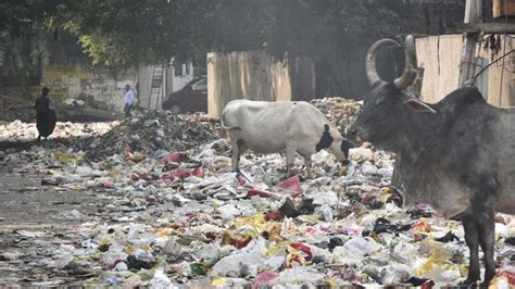 Gurugram Sanitation Workers Call Off Strike After Days Hindustan Times