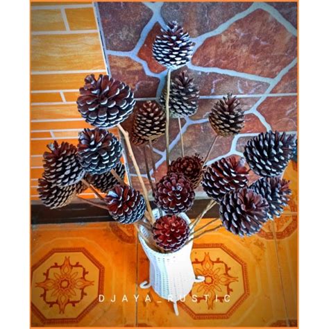 Jual Bunga Pinus Tangkai Biji Pinus Kering Dried Flower Rustic