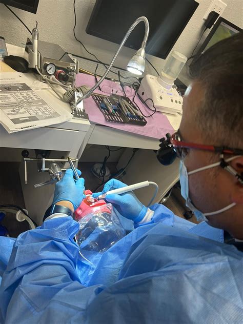 Adex Prep Course | Dental Training For You 