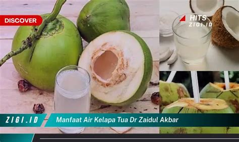 Temukan Manfaat Air Kelapa Tua Dr Zaidul Akbar Yang Jarang Diketahui