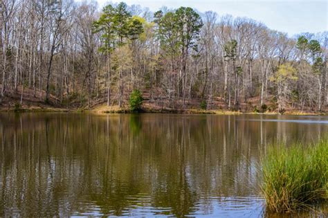 20 Acres With Large Private Pond Near Woodruff Metcalf Land