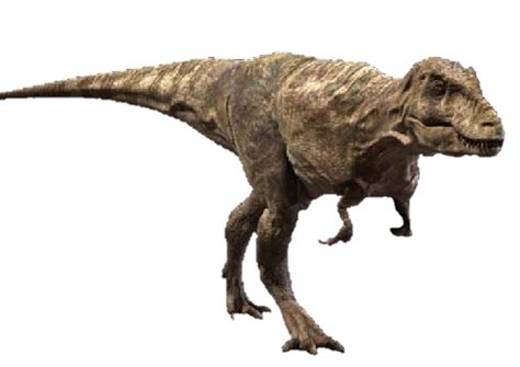 tarbosaurus dinosaur wiki fandom