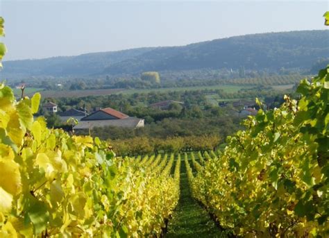 Domaine De Muzy Combres Sous Les Cotes Meuse Bienvenue La