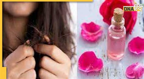 Flowers For Hair Care