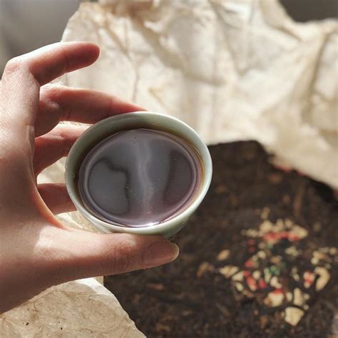 Как заваривать пуэр: правила варки и как пить - цвет и аромат пуэра ...