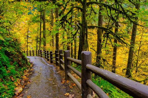 Best Hikes Near Portland: Top 10 Hiking Trails to Hike in Portland