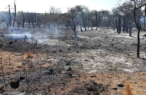 Córdoba Riesgo Extremo De Incendios Forestales Por Alerta Meteorológica