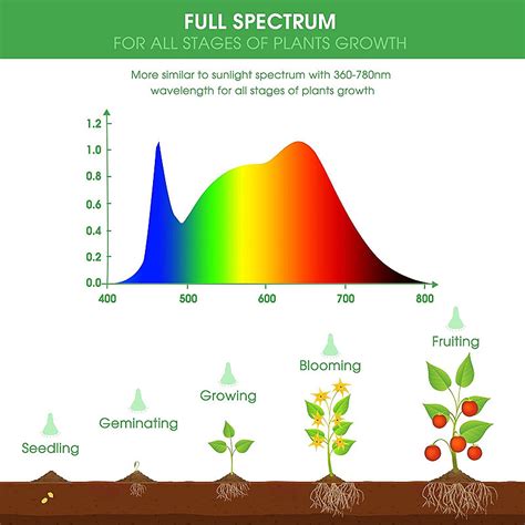 Lampes de culture à spectre complet pour plantes d intérieur Guide Survie