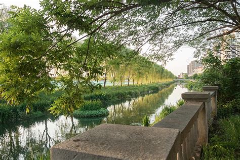 Reflection Of Green Trees In Outdoor Rivers And Lakes Background