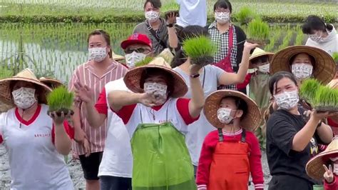 羅東鎮立幼兒園食農教育親子插秧活動 Youtube