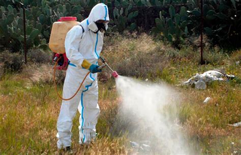 La Seguridad En El Trabajo Sobre Todo Tipos De Fitosanitarios Y Buenas