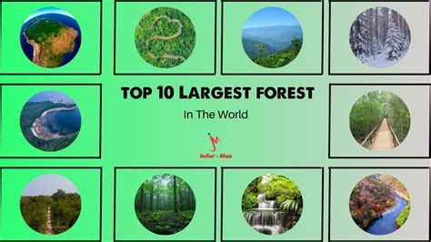 Top Largest Forest In The World Biggest Forest In The World