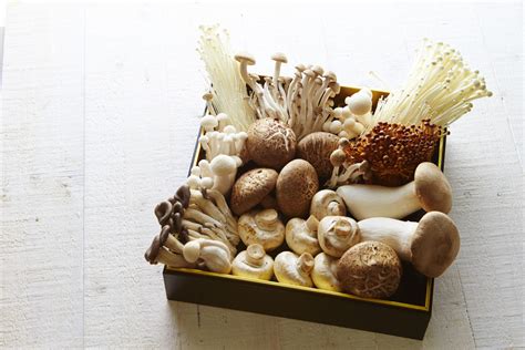 Discovering Umami with Mushrooms – Advanced Biotech