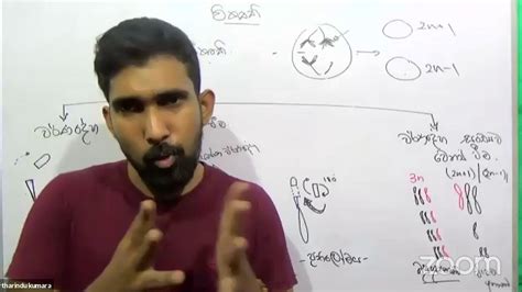 revision tharindu prasad youtube