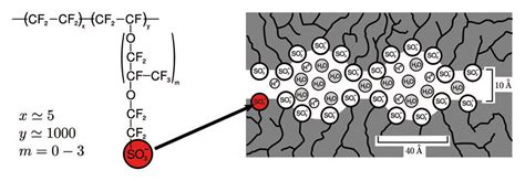 10: Chemical structure of hydrated Nafion membrane [53] | Download Scientific Diagram