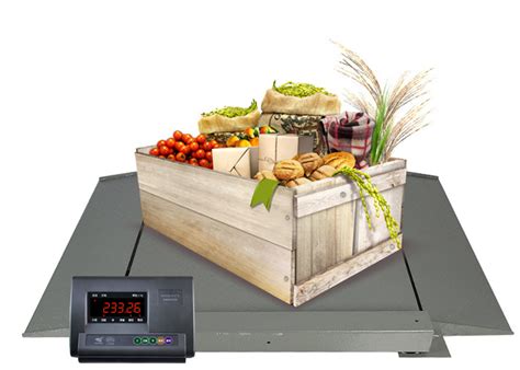 0.8m Digital Floor Scales Industrial , LCD Floor Scale For Pallets