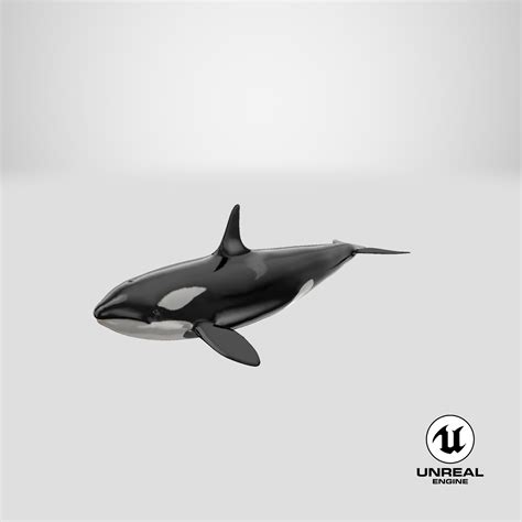 Orca Modelo 3d 79 3ds C4d Fbx Ma Obj Max Usdz Unitypackage