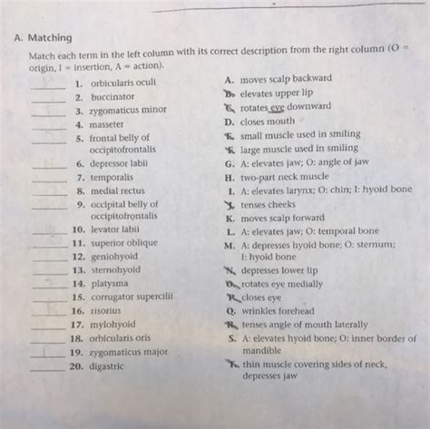 Solved A Matching Match Each Term In The Left Column With Chegg