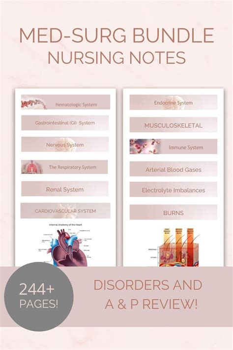 Med Surg Study Guide Bundle Nursing Notes Pages Ekgs Etsy