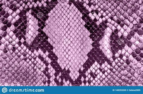 Textura Sem Emenda Da Pele De Serpente Forma Para R Pteis Tropicais