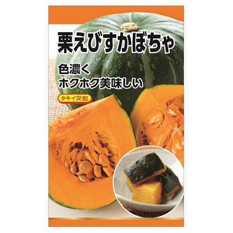 【楽天市場】カボチャ 【タキイ交配 栗えびすかぼちゃ】 種・小袋 （10粒） F1（一代交配種）：苗木部 By 花ひろばオンライン