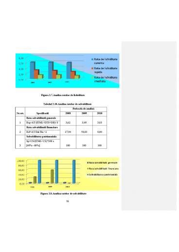 Analiza Structurii Funcționale a Suprafeței de Vânzare Licență DOC