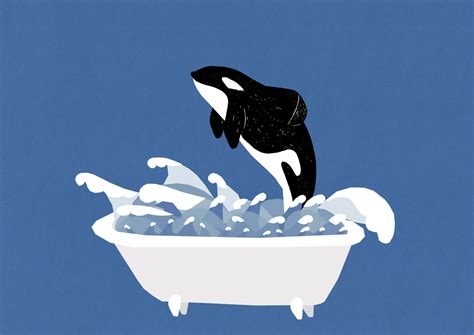 Are Orcas Getting Bigger Tanks at SeaWorld? | PIG IN A BLOG