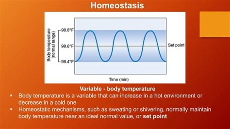 Homeostasis Pptx