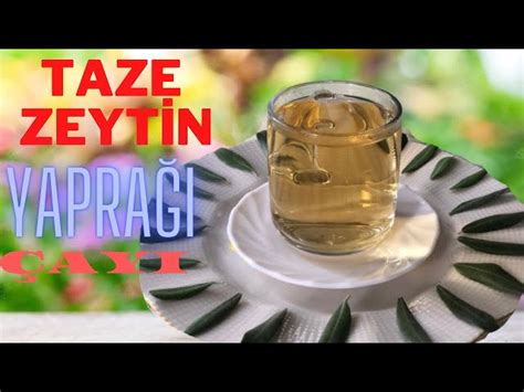 Taze Zeytin Yapra Ay Nas L Yap L R Zeytin Yapra Ay N N