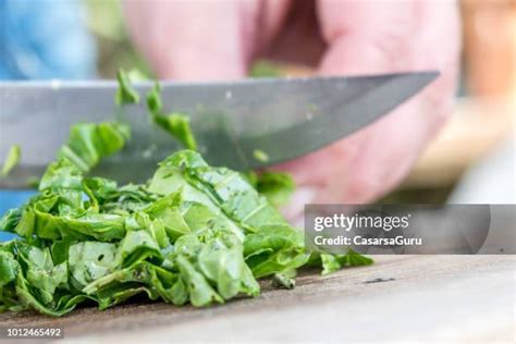 Chopped Spinach Photos And Premium High Res Pictures Getty Images