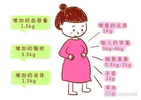 孕期如何控制体重？ 知乎