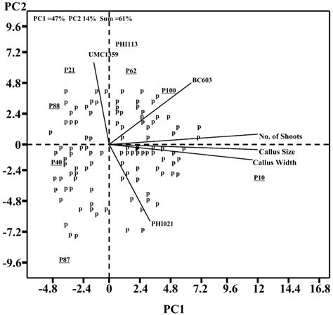 Gt Biplot Analysis For Relationship Among Selected Markers And