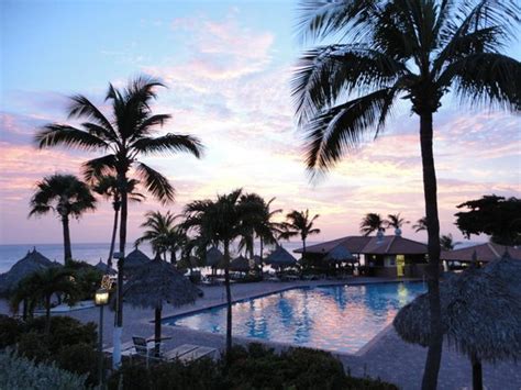 Aruba Beach Club UPDATED 2018 Prices Resort Reviews Palm Eagle