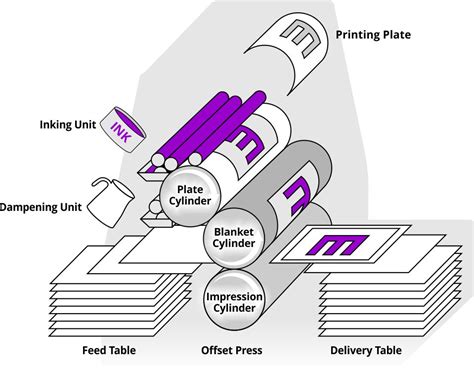 How Commercial Offset Litho Printing Works Tamay Creative