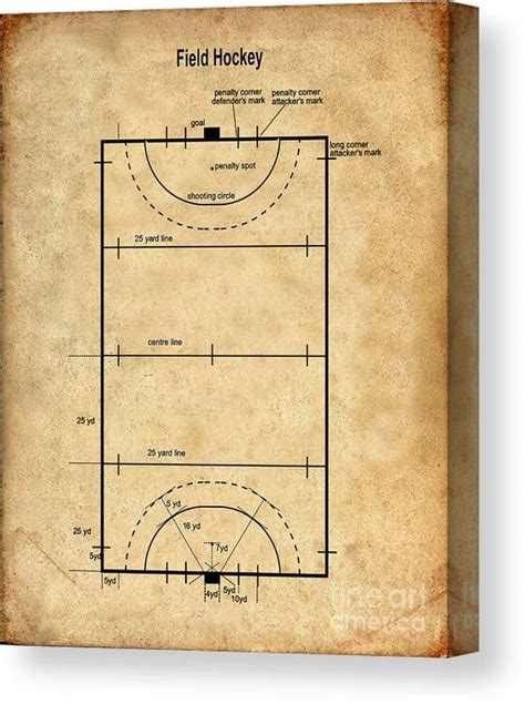 Field Hockey Field Diagram