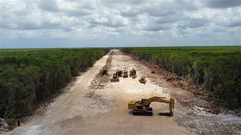 Un Tren Sin Frenos Impactos Ambientales Desconocidos Del Tren Maya