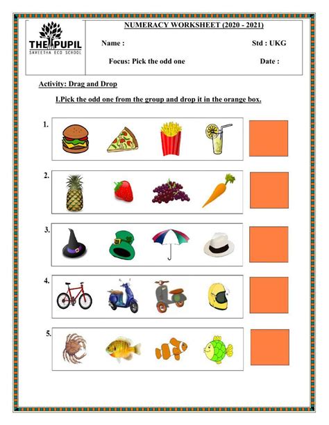 Free Odd One Out Worksheet For Download Free Odd One Out Worksheet For Png Images Free