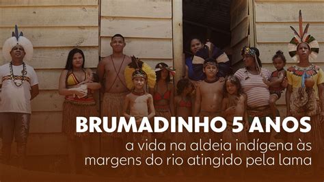 Brumadinho Comunidade Ind Gena S Margens Do Rio Atingido Pela Lama