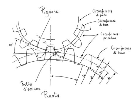 Meccanica Ruote Dentate Con Profilo A Evolvente Di Cerchio Mappe