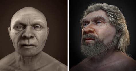 Neandertalczycy Wcale Nie Przypominali Ma P Teoria Ewolucji Do Kosza