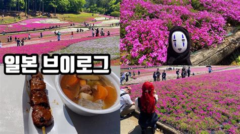 일본 브이로그 ️도쿄 일상 브이로그🐥 꽃잔디 축제🌸멧돼지고기사슴고기이루마 아웃렛언더아머 Youtube