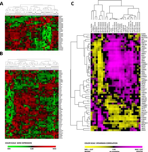 Correlation Between Pp2a Genes And Emt Genes In Tumor Vs Non Tumor