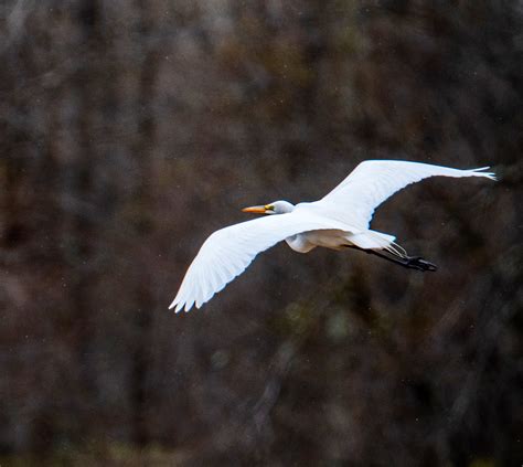 The Hoarse Whisperer On Twitter I Wish The In Flight Pictures Were