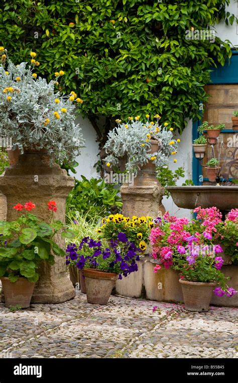 Plant Pots In A Mediterranean Courtyard Garden Part Of The Festival Of