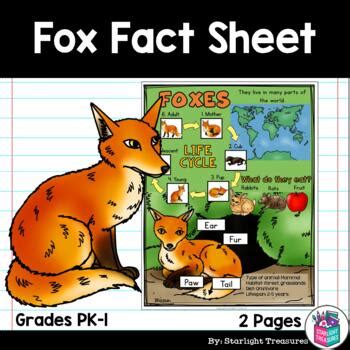 Fox Fact Sheet For Early Readers By Starlight Treasures TpT