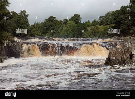 The River Tees At Low Force Waterfall In Flood Conditions Upper