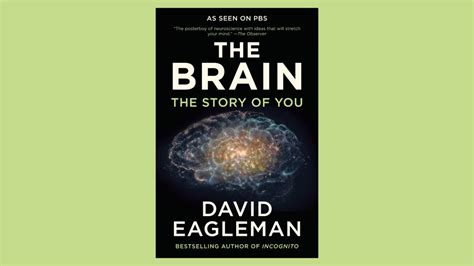 The Brain By David Eagleman Summary The Herston Project