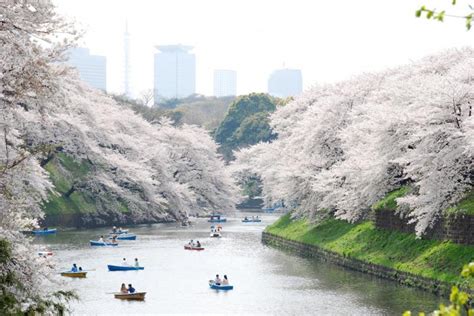 Tokyo nerede Tokyo da gezilecek yerler nerelerdir Tokyo ya nasıl