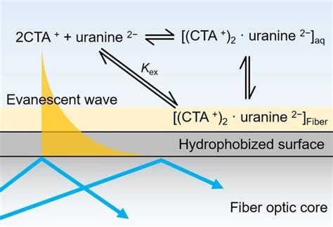 Sensors Free Full Text Evanescent Wave Fiber Optic Sensing Of The