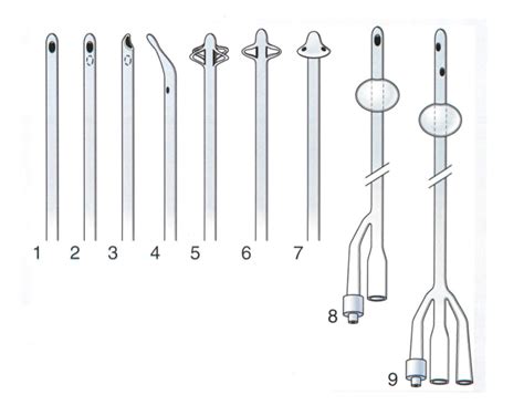 urinary catheters diagram quizlet